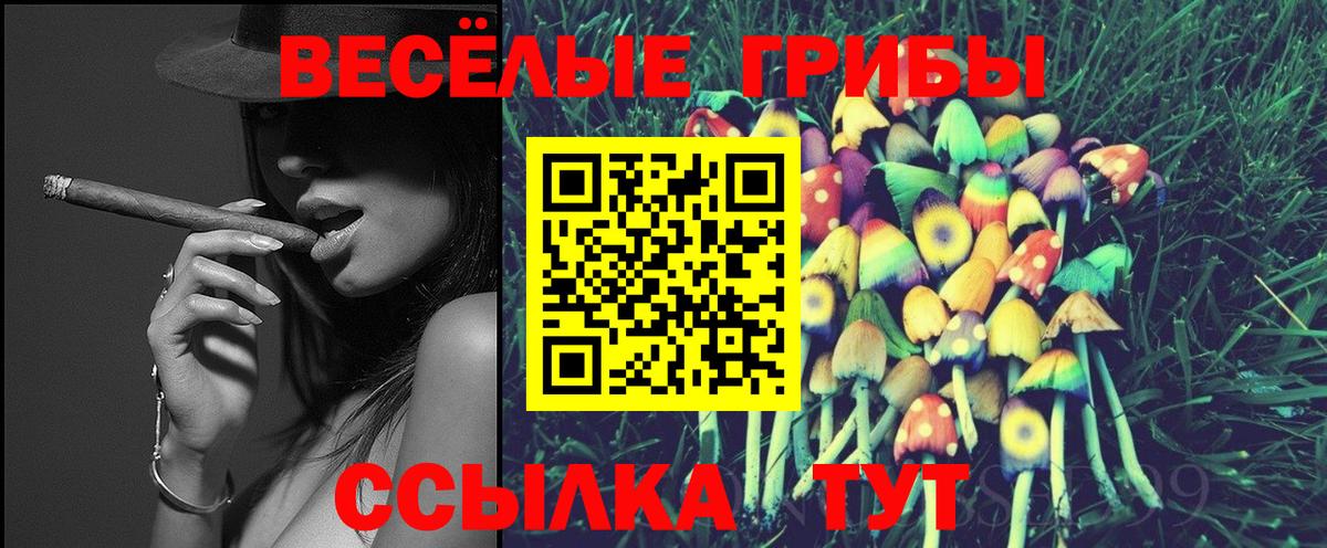 Корсаков  Галлюциногенные грибы мухоморы  Псилоцибиновые грибы Cubensis  Вход с VPN 